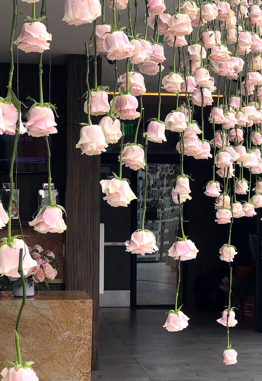 Hundreds of pink roses hanging upside down at a building entrance