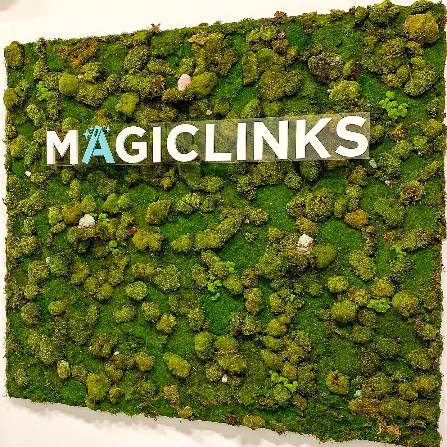 Moss wall with crystals and a dimensional white logo sign
