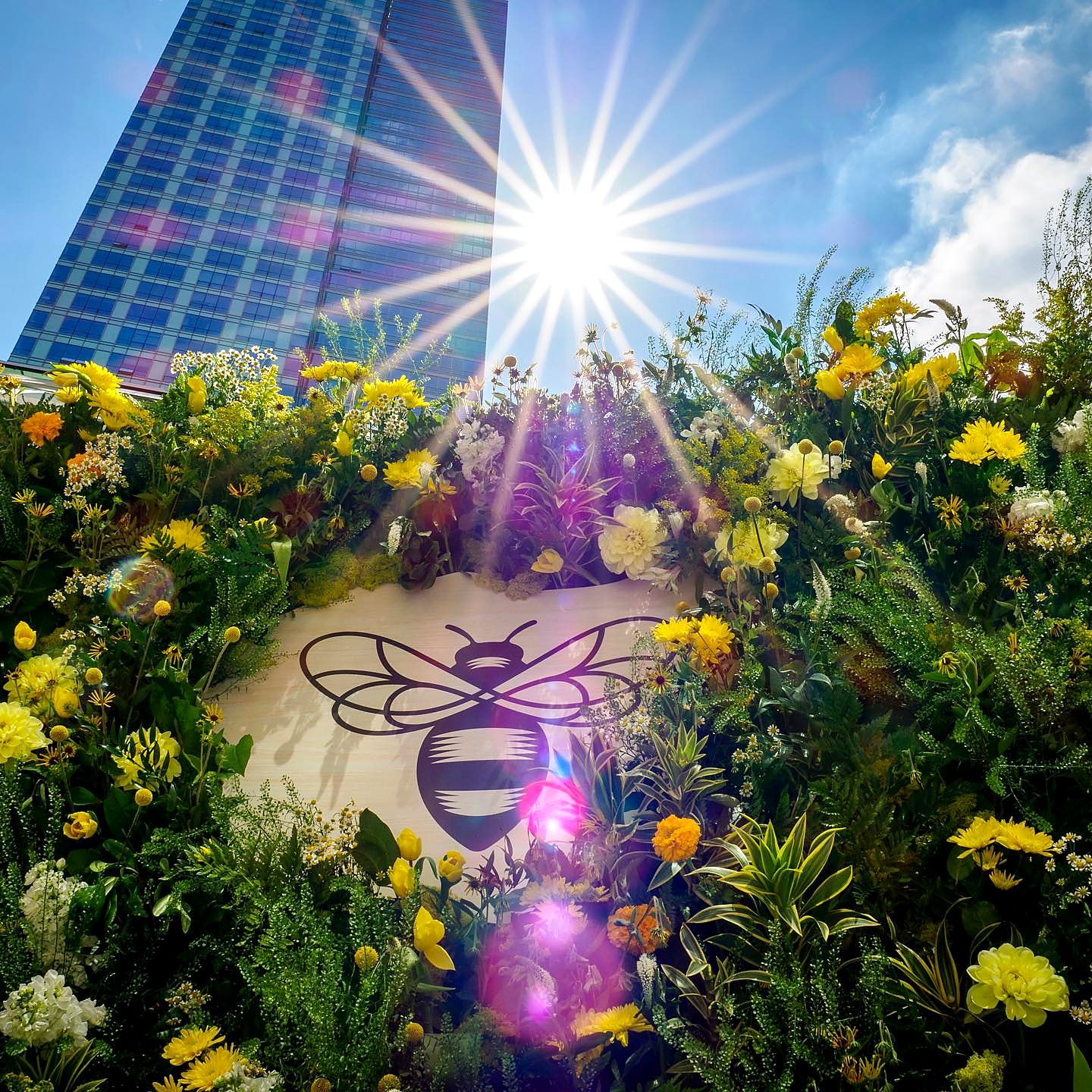 Yellow and white wildflower wall surrounding a custom bee logo sign in sunlight